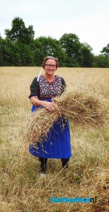 Roggemaaien aan de Schotweg (deel 1) - Foto: Femmie Smink