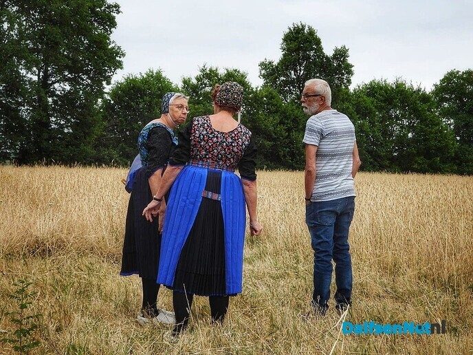 Roggemaaien aan de Schotweg (deel 1) - Foto: Femmie Smink