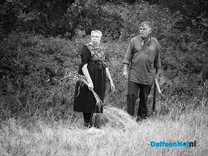 Roggemaaien aan de Schotweg (deel 1) - Foto: Femmie Smink