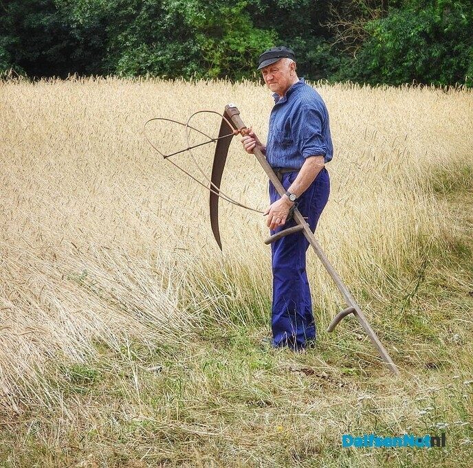 Roggemaaien aan de Schotweg (deel 1) - Foto: Femmie Smink