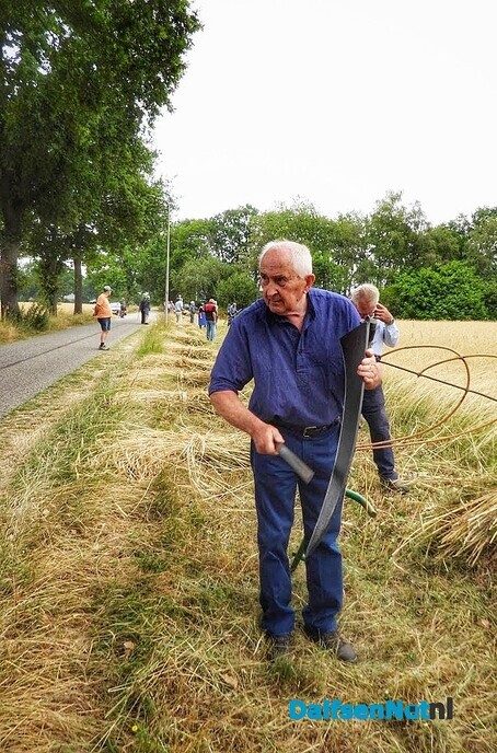 Roggemaaien aan de Schotweg (deel 1) - Foto: Femmie Smink