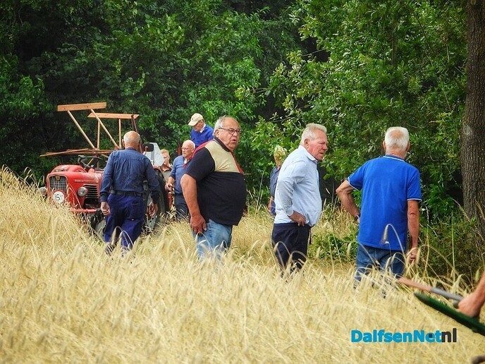 Roggemaaien aan de Schotweg (deel 1) - Foto: Femmie Smink