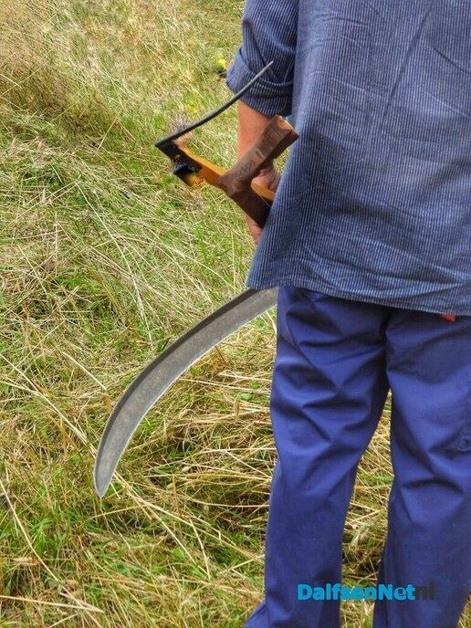 Roggemaaien aan de Schotweg (deel 1) - Foto: Femmie Smink