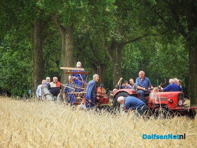 Roggemaaien aan de Schotweg (deel 1) - Foto: Femmie Smink