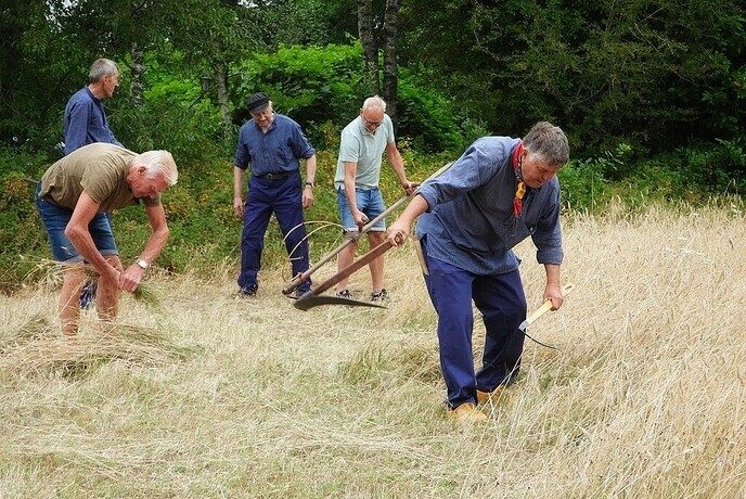 Pannenkoeken eten bij het roggemaaien (Deel 2) - Foto: Femmie Smink
