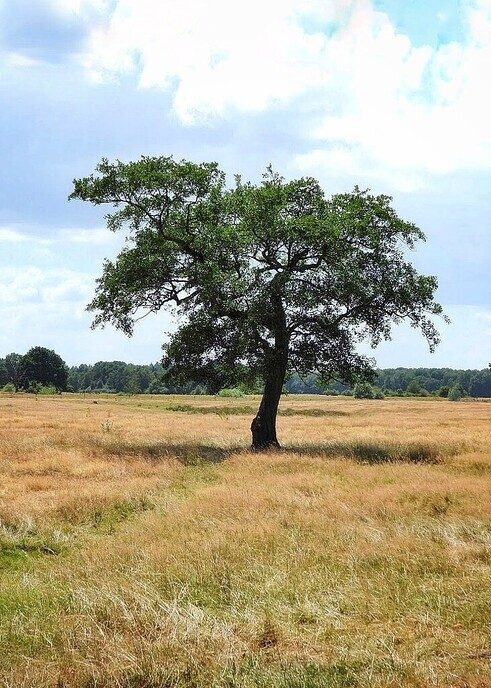 Arriën: verrassend door natuur en historie - Foto: Femmie Smink