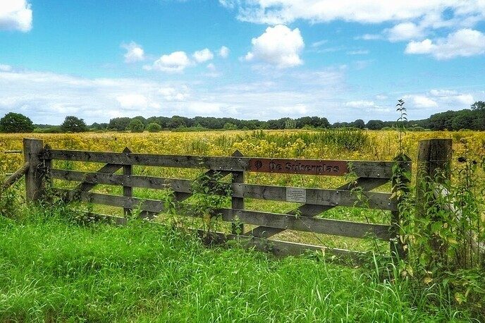Arriën: verrassend door natuur en historie - Foto: Femmie Smink