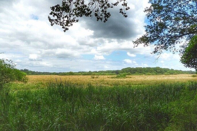 Arriën: verrassend door natuur en historie - Foto: Femmie Smink
