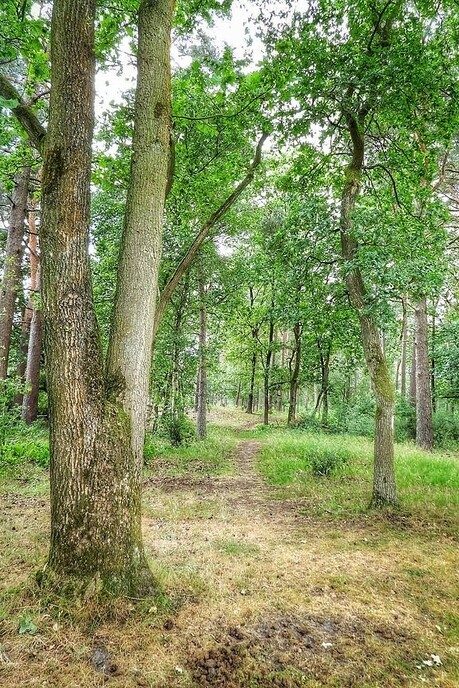 Arriën: verrassend door natuur en historie - Foto: Femmie Smink