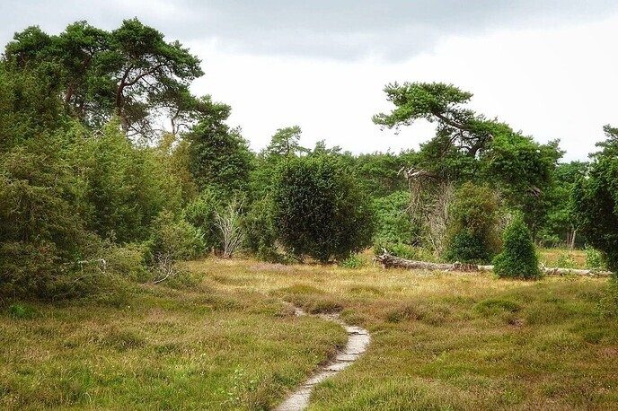 Arriën: verrassend door natuur en historie - Foto: Femmie Smink