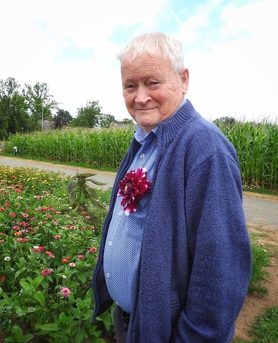 Mais, bloemen en vlinders, zo maar - Foto: Femmie Smink