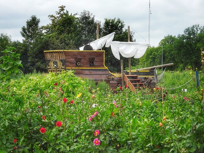 Mais, bloemen en vlinders, zo maar - Foto: Femmie Smink