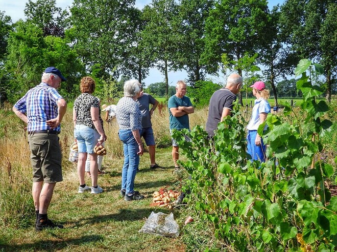 Femmie eet vanavond eigengemaakte patat - Foto: Femmie Smink