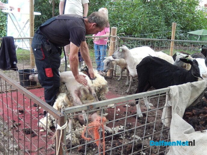Vilsteren Bruist was ook dit keer weer een groot succes - Foto: Willy