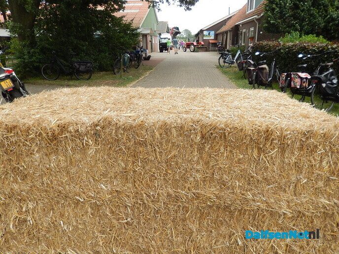 Zomerfestival bij Landjuweel De Hoeven - Foto: Willy