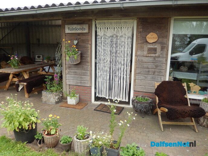 Zomerfestival bij Landjuweel De Hoeven - Foto: Willy