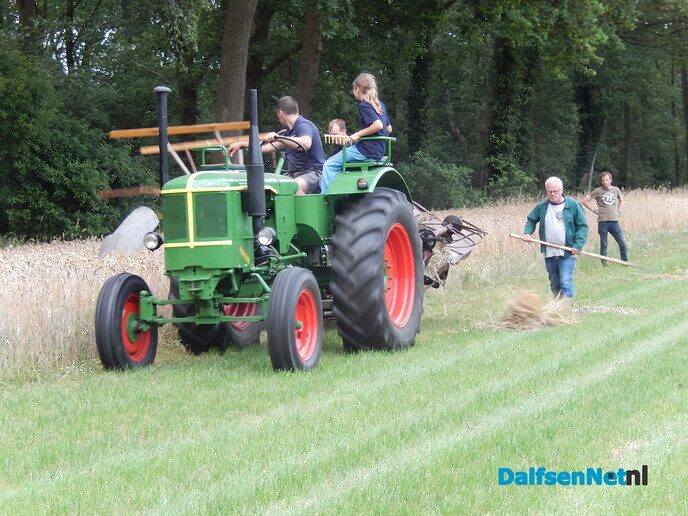 Rogge maaien - Foto: Willy
