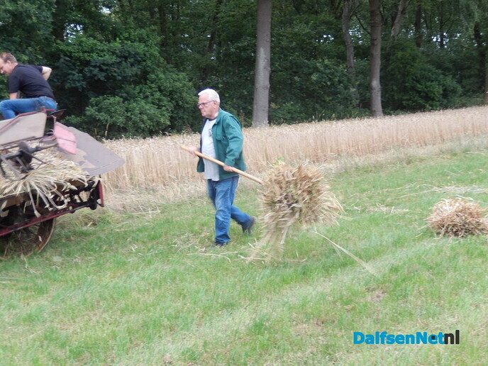 Rogge maaien - Foto: Willy