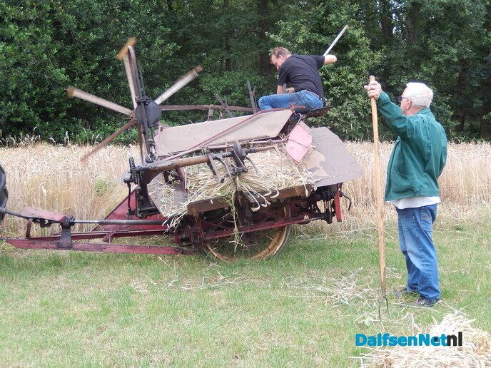 Rogge maaien - Foto: Willy