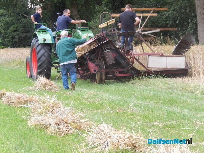 Rogge maaien - Foto: Willy