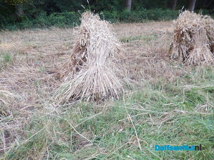 Zo heet het schijnbaar: garven