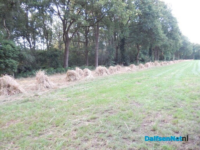 Zo heet het schijnbaar: garven - Foto: Willy