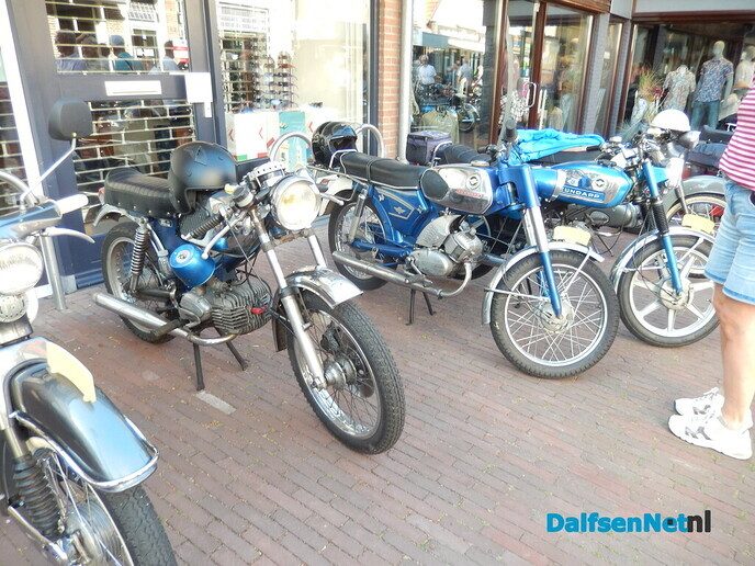 Brommers kiek’n in Dalfsen (veel foto’s) - Foto: Willy