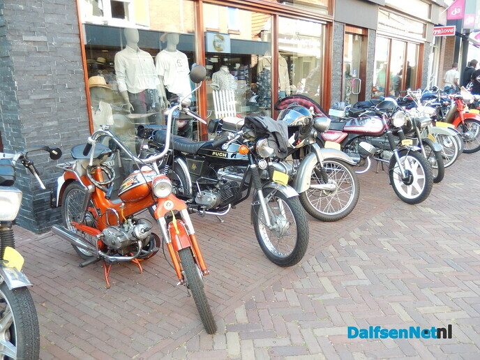 Brommers kiek’n in Dalfsen (veel foto’s) - Foto: Willy