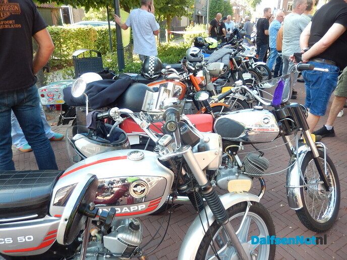 Brommers kiek’n in Dalfsen (veel foto’s) - Foto: Willy