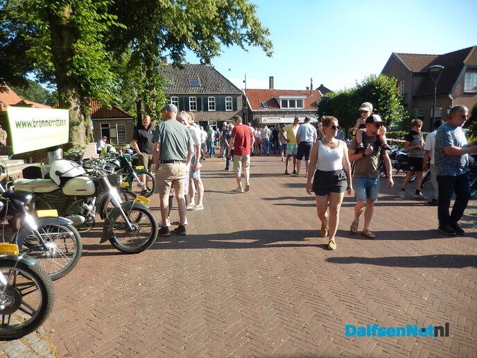 Brommers kiek’n in Dalfsen (veel foto’s) - Foto: Willy