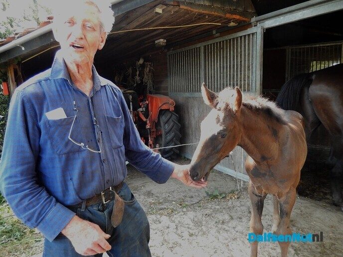 Onverwacht tussen hop en paarden - Foto: Willy