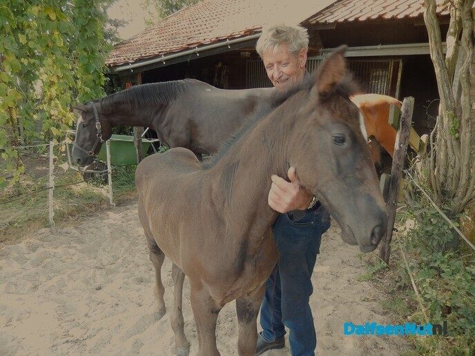 Onverwacht tussen hop en paarden - Foto: Willy