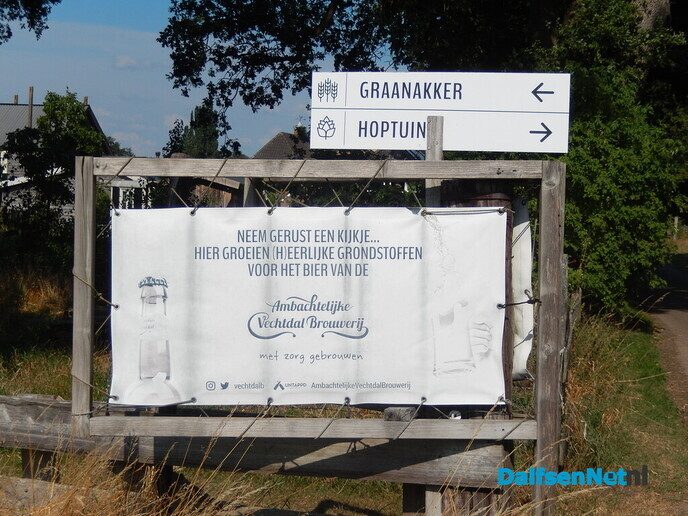 Onverwacht tussen hop en paarden - Foto: Willy