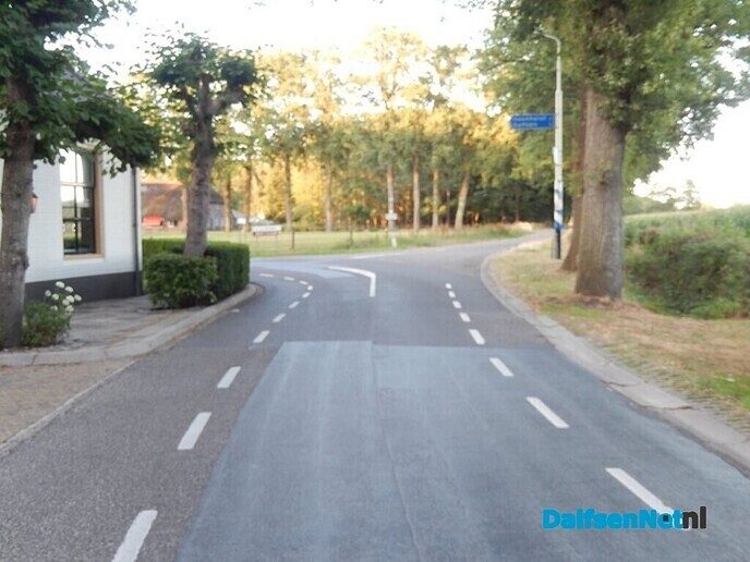 Paard overlijdt plotseling tijdens rit in Dalfsen - Foto: Willy