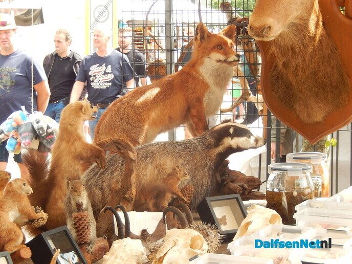 De Ommer Bissing was vandaag ook weer een groot succes - Foto: Willy
