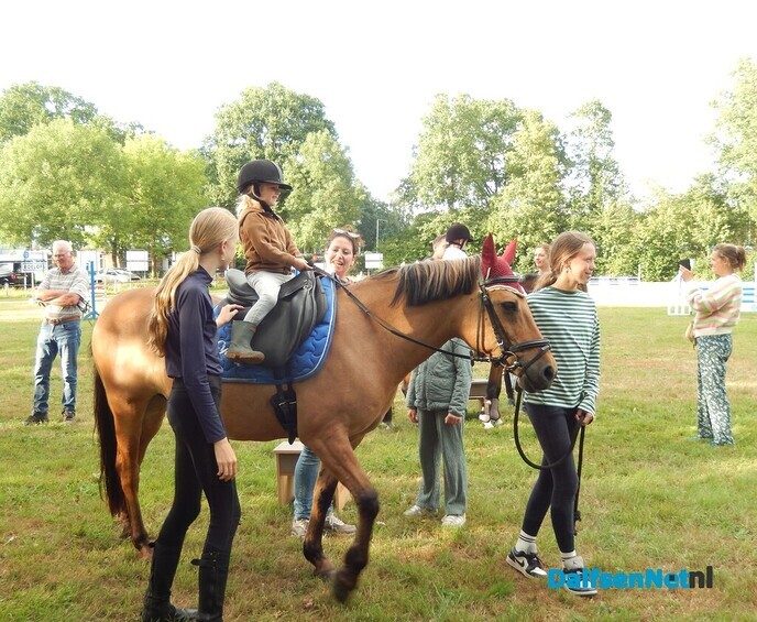 Veel belangstelling voor ponyrijden in Lemelerveld - Foto: Willy
