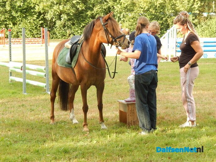Veel belangstelling voor ponyrijden in Lemelerveld