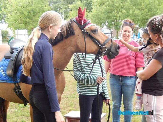 Veel belangstelling voor ponyrijden in Lemelerveld