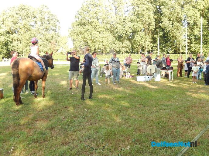Veel belangstelling voor ponyrijden in Lemelerveld - Foto: Willy