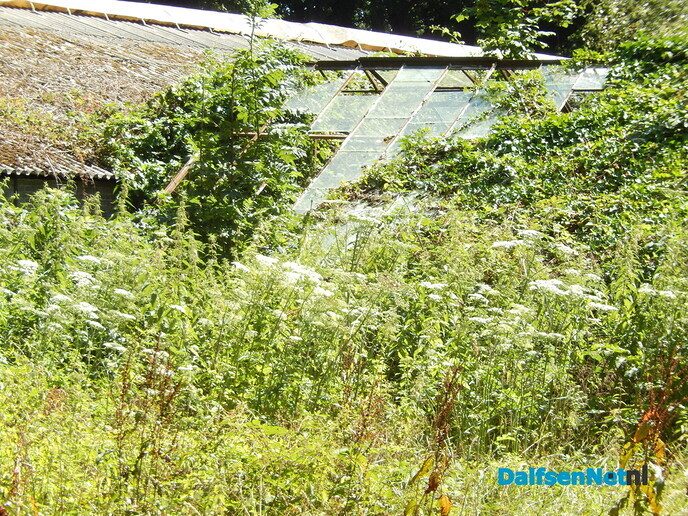 Vervolg vanaf de N35 richting landgoed ’t Relaer - Foto: Willy