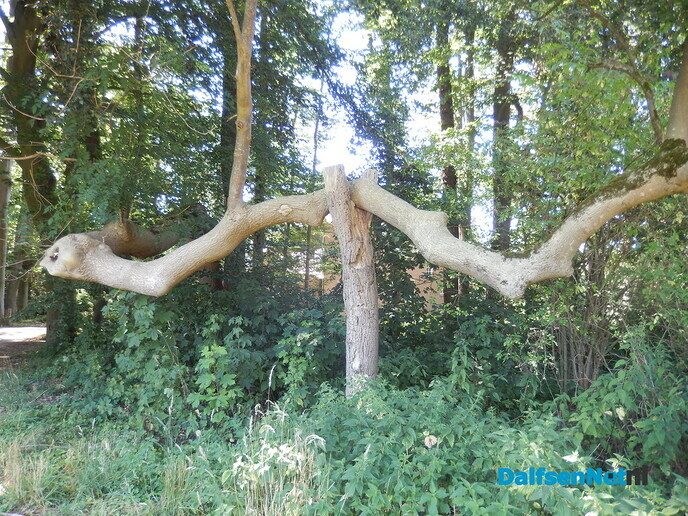 Vervolg vanaf de N35 richting landgoed ’t Relaer - Foto: Willy