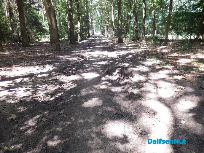 Vervolg vanaf de N35 richting landgoed ’t Relaer - Foto: Willy