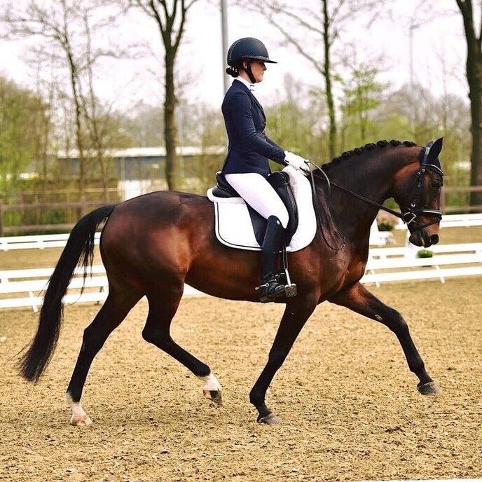 Paardensportweekend in Nieuwleusen: kom genieten van mooie dressuur! - Foto: Ingezonden foto