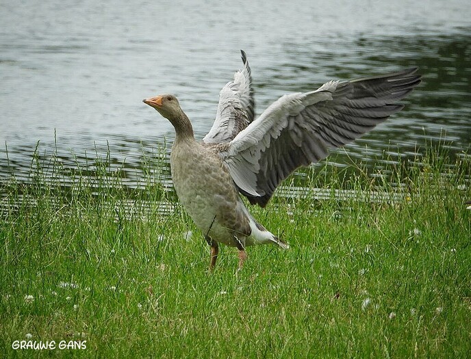 Op de fiets naar Ommen - Foto: Femmie Smink