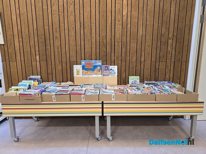 Ook in de gemeente Dalfsen is er een mini-boekenmarkt - Foto: Ingezonden foto