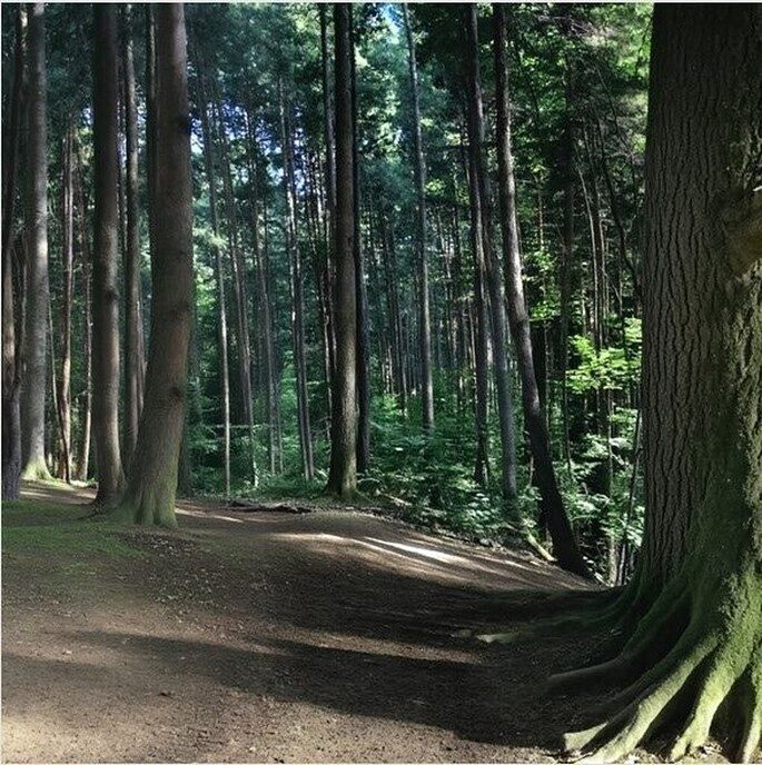 Familieberichten