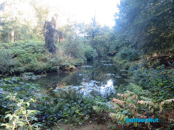  Een vroege wandeling rond Den Alerdinck - Foto: Wim