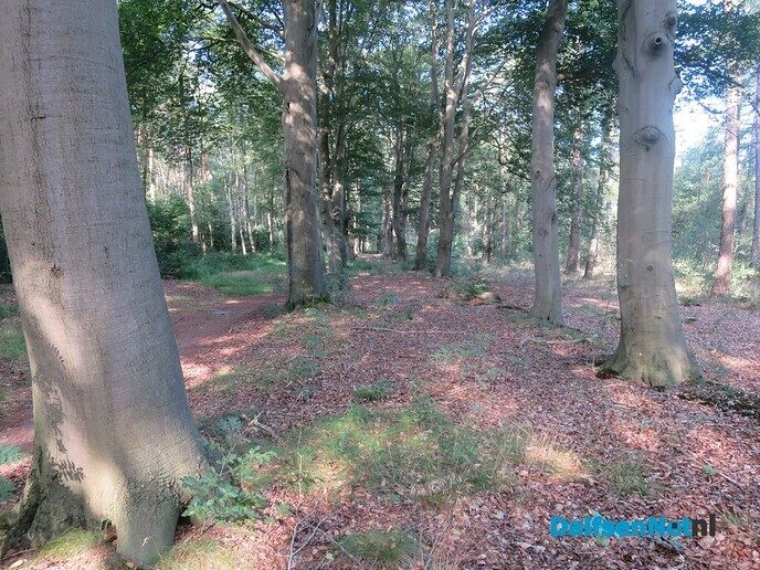 Wandeling van Hoonhorst via Het Weerdhuis en Vennenberg - Foto: Wim