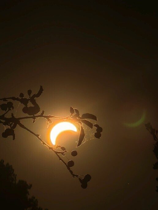 Eclips foto’s van Belgen zelfs