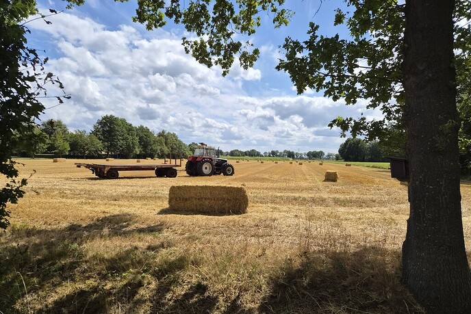 Prachtige natuurbeelden rond Nieuwleusen - Foto: Femmie Smink